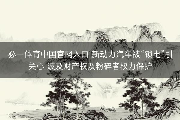 必一体育中国官网入口 新动力汽车被“锁电”引关心 波及财产权及粉碎者权力保护