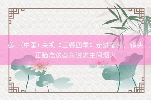 必一(中国) 央视《三餐四季》走进宿州，镜头正瞄准这些东说念主间烟火