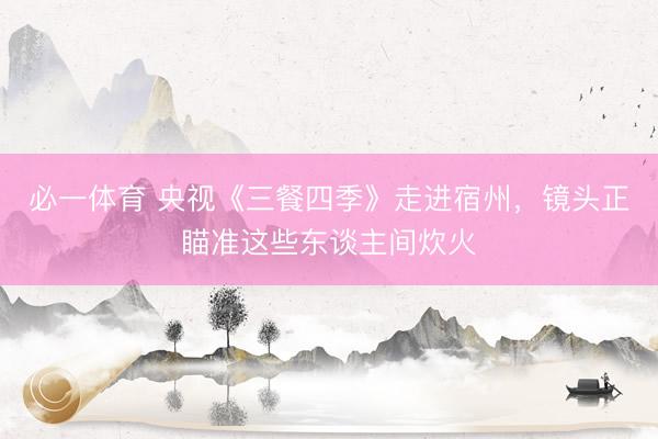 必一体育 央视《三餐四季》走进宿州，镜头正瞄准这些东谈主间炊火