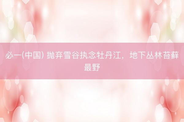 必一(中国) 抛弃雪谷执念牡丹江，地下丛林苔藓最野