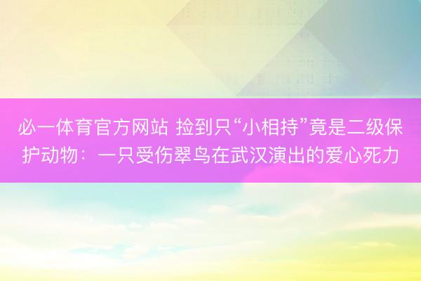 必一体育官方网站 捡到只“小相持”竟是二级保护动物：一只受伤翠鸟在武汉演出的爱心死力