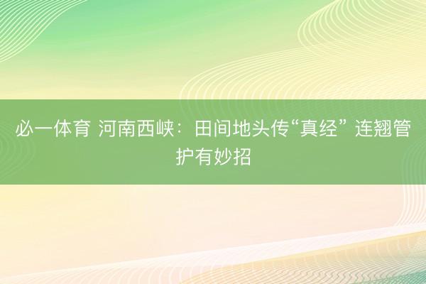 必一体育 河南西峡：田间地头传“真经” 连翘管护有妙招