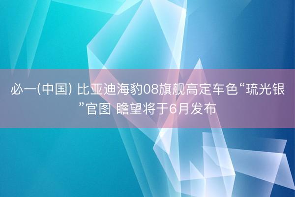 必一(中国) 比亚迪海豹08旗舰高定车色“琉光银”官图 瞻望将于6月发布