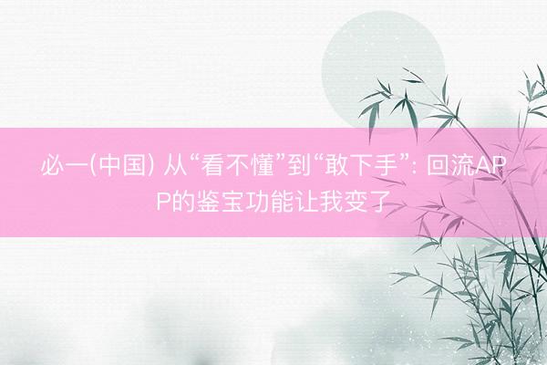 必一(中国) 从“看不懂”到“敢下手”: 回流APP的鉴宝功能让我变了