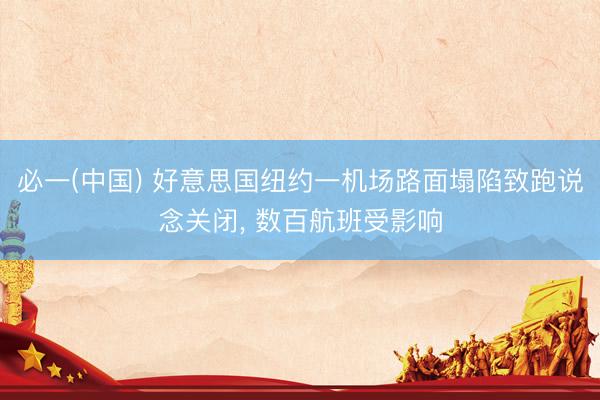 必一(中国) 好意思国纽约一机场路面塌陷致跑说念关闭， 数百航班受影响