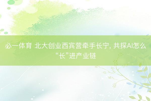 必一体育 北大创业西宾营牵手长宁， 共探AI怎么“长”进产业链
