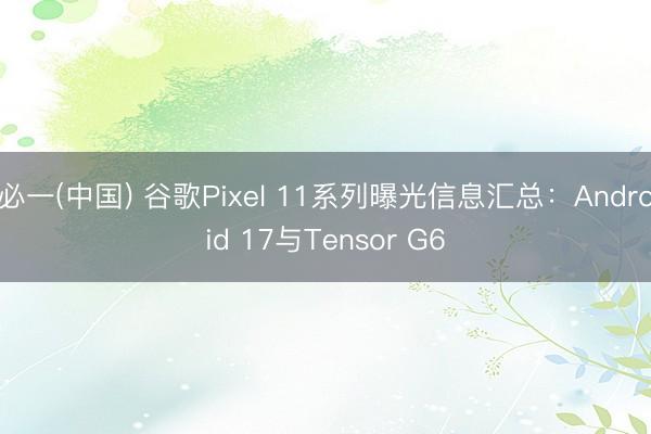 必一(中国) 谷歌Pixel 11系列曝光信息汇总：Android 17与Tensor G6