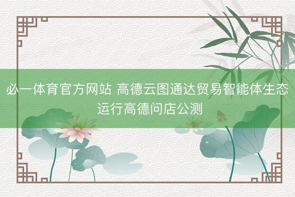必一体育官方网站 高德云图通达贸易智能体生态 运行高德问店公测