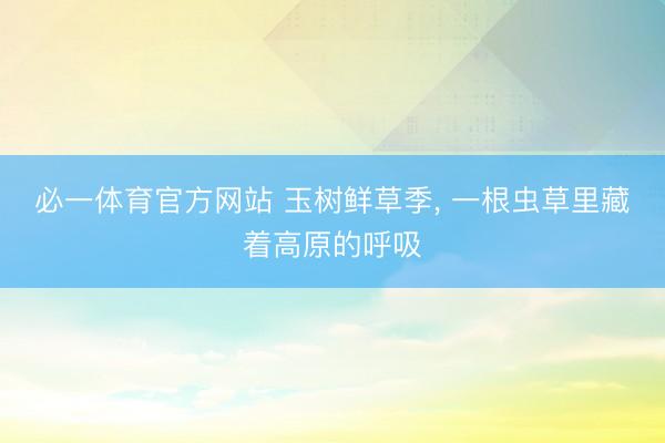 必一体育官方网站 玉树鲜草季， 一根虫草里藏着高原的呼吸