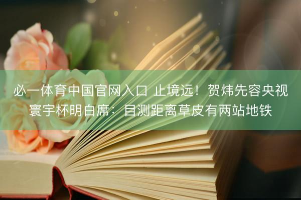 必一体育中国官网入口 止境远！贺炜先容央视寰宇杯明白席：目测距离草皮有两站地铁
