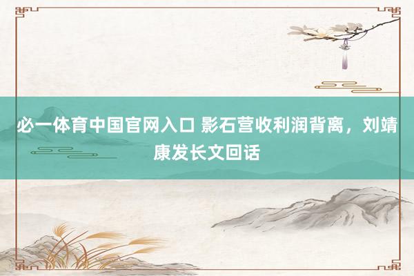 必一体育中国官网入口 影石营收利润背离，刘靖康发长文回话