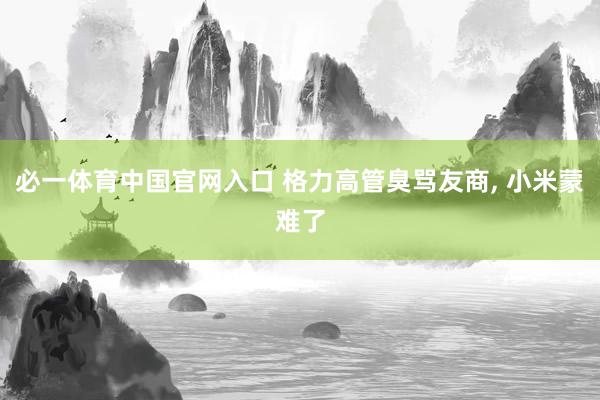 必一体育中国官网入口 格力高管臭骂友商， 小米蒙难了