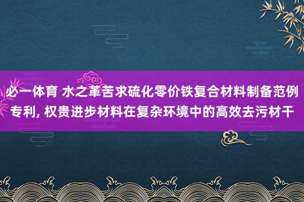 必一体育 水之革苦求硫化零价铁复合材料制备范例专利， 权贵进步材料在复杂环境中的高效去污材干